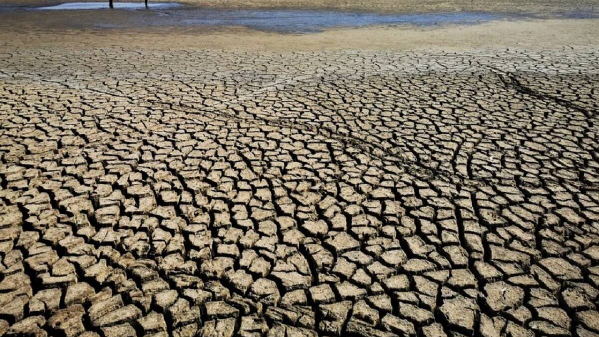 Sequía en el acuífero Los Cerrillos-San Vicente. Foto: NA.