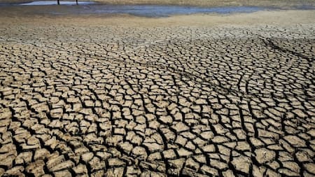 Sequía en el acuífero Los Cerrillos-San Vicente. Foto: NA.