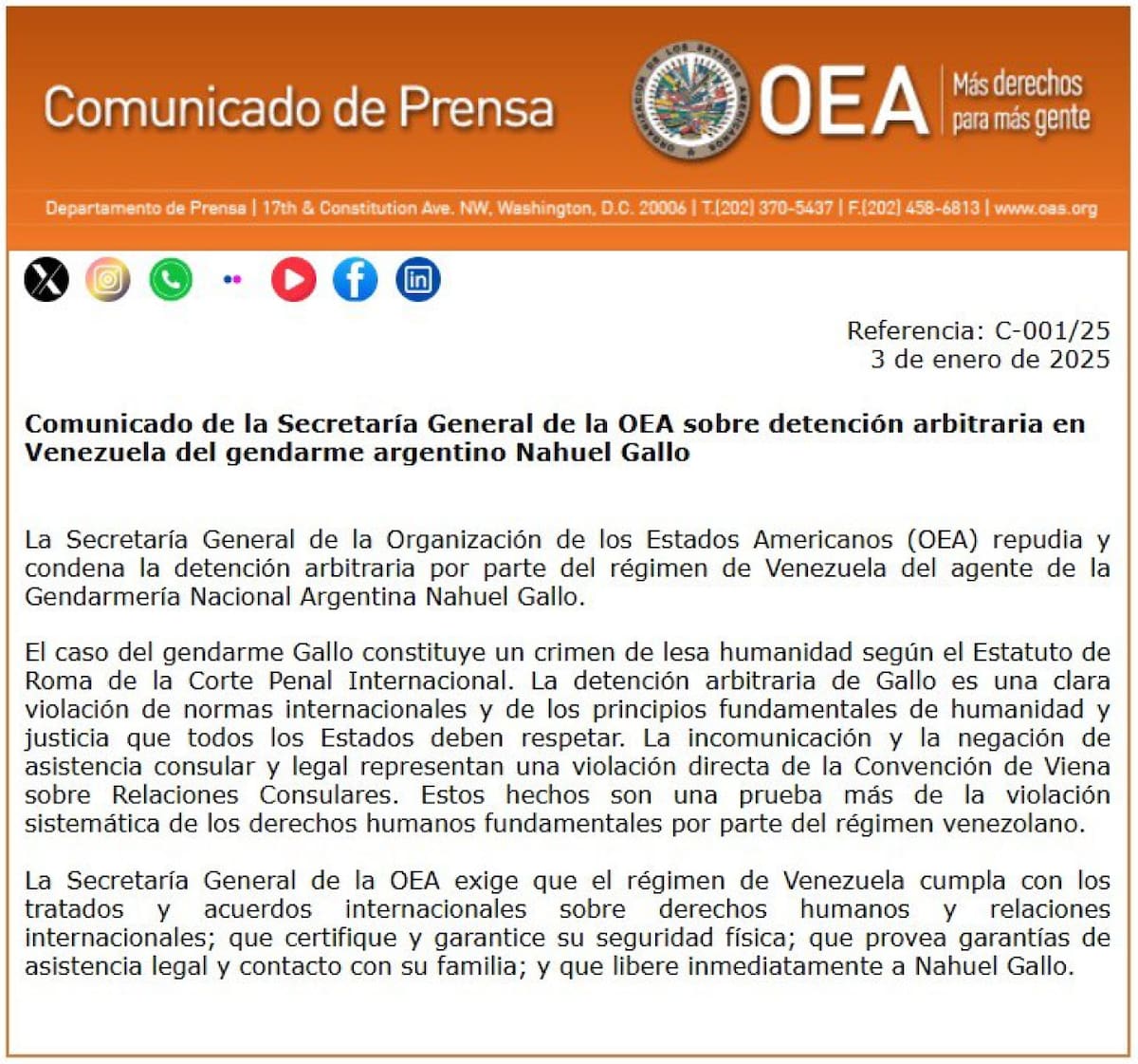Comunicado de la OEA sobre la detención de Nahuel Gallo. Foto: OEA