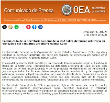 Comunicado de la OEA sobre la detención de Nahuel Gallo. Foto: OEA