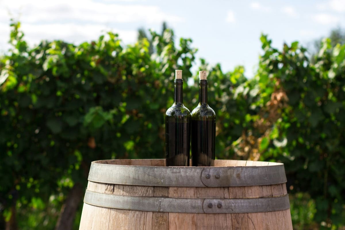 Vino; bebida alcohólica. Foto: Unsplash.