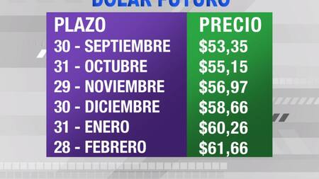 Dólar futuro, cotizaciones septiembre 2019 febrero 2020, economía argentina, CANAL 26