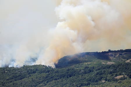 Los Alerces. Foto: Reuters.