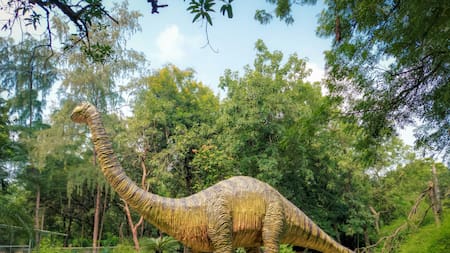 Dinosaurio. Foto: Unsplash.