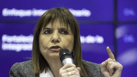 Patricia Bullrich, ministra de Seguridad. Foto: NA/DAMIAN DOPACIO.