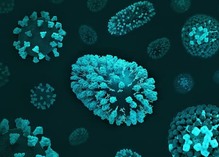 Gripe; microbio; enfermedad. Foto: Unsplash.