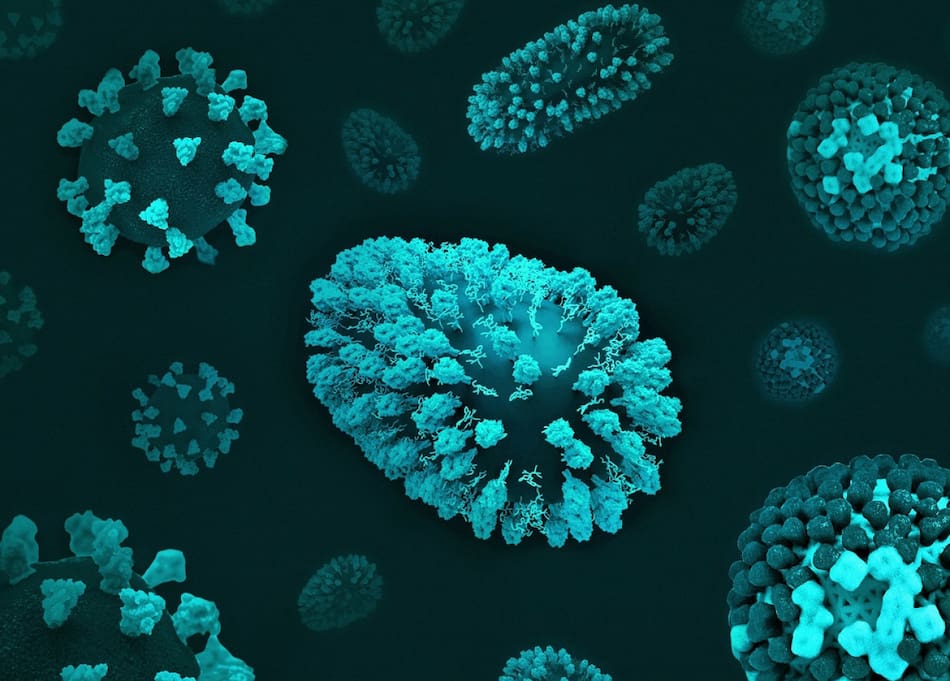 Gripe; microbio; enfermedad. Foto: Unsplash.