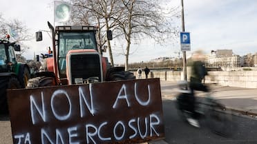 Los supermercados de Francia, en contra del acuerdo comercial de la Unión Europea: se niegan a vender productos del Mercosur