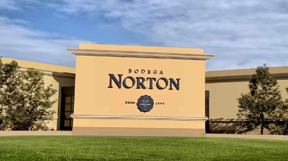 Bodega Norton.