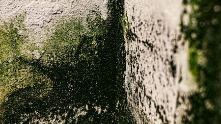 Humedad en las paredes. Foto: Freepik