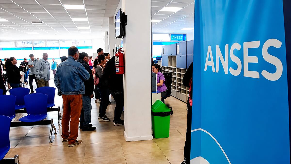 ANSES: cuándo cobro en mayo 2026 si mi DNI termina en 0 o 1 con fechas y montos