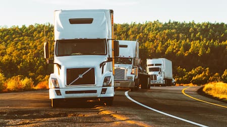 Argentina debería plantar 170.000 árboles al año para mitigar las emisiones de los camiones