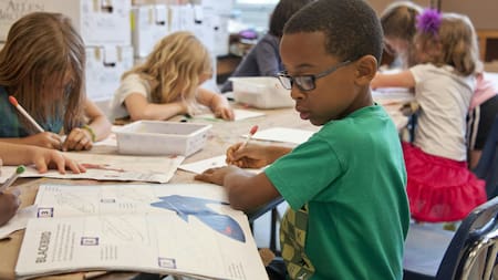 Cambia el calendario académico: las vacaciones de mitad de año serán más cortas y durarán menos de tres semanas