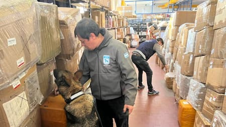 Puerta a Puerta: la Aduana devolverá casi 3.000 paquetes que no fueron retirados