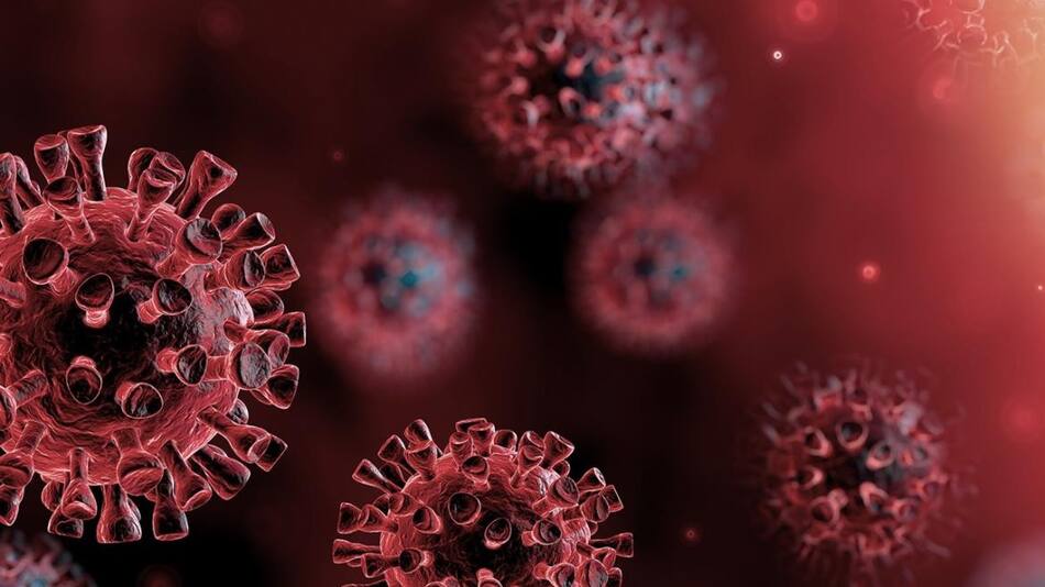Coronavirus, mundo, pandemia