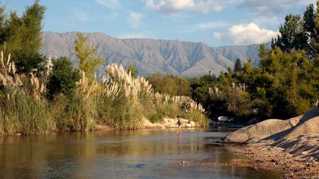 Estas dos nuevas reservas se suman a las 27 áreas que ya había en la provincia. Foto: Télam.