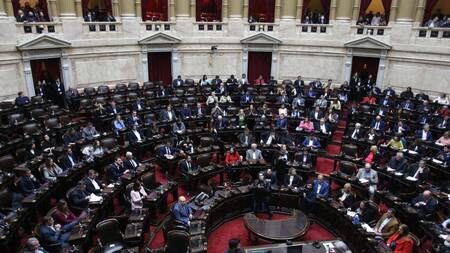 Sesión especial en Diputados. Foto: NA