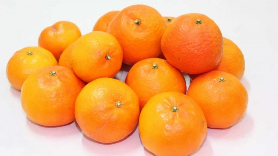 Naranjas y mandarinas
