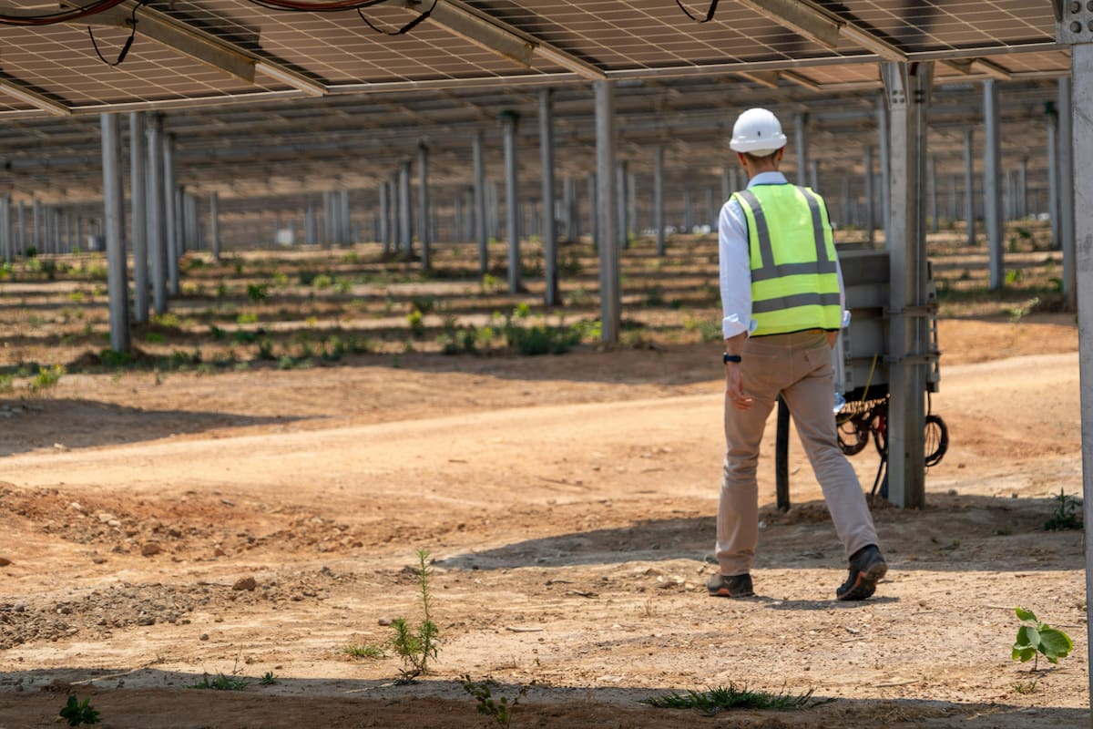 Trabajo en el campo