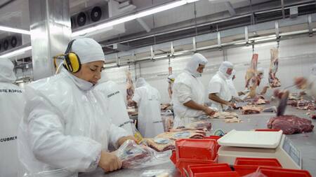 Carne, economía argentina, NA