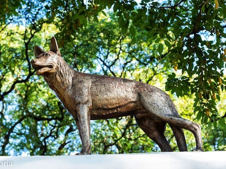 La estatua de Chonino en el predio de la Policía Montada. Foto: X/@MinSeguridad_Ar