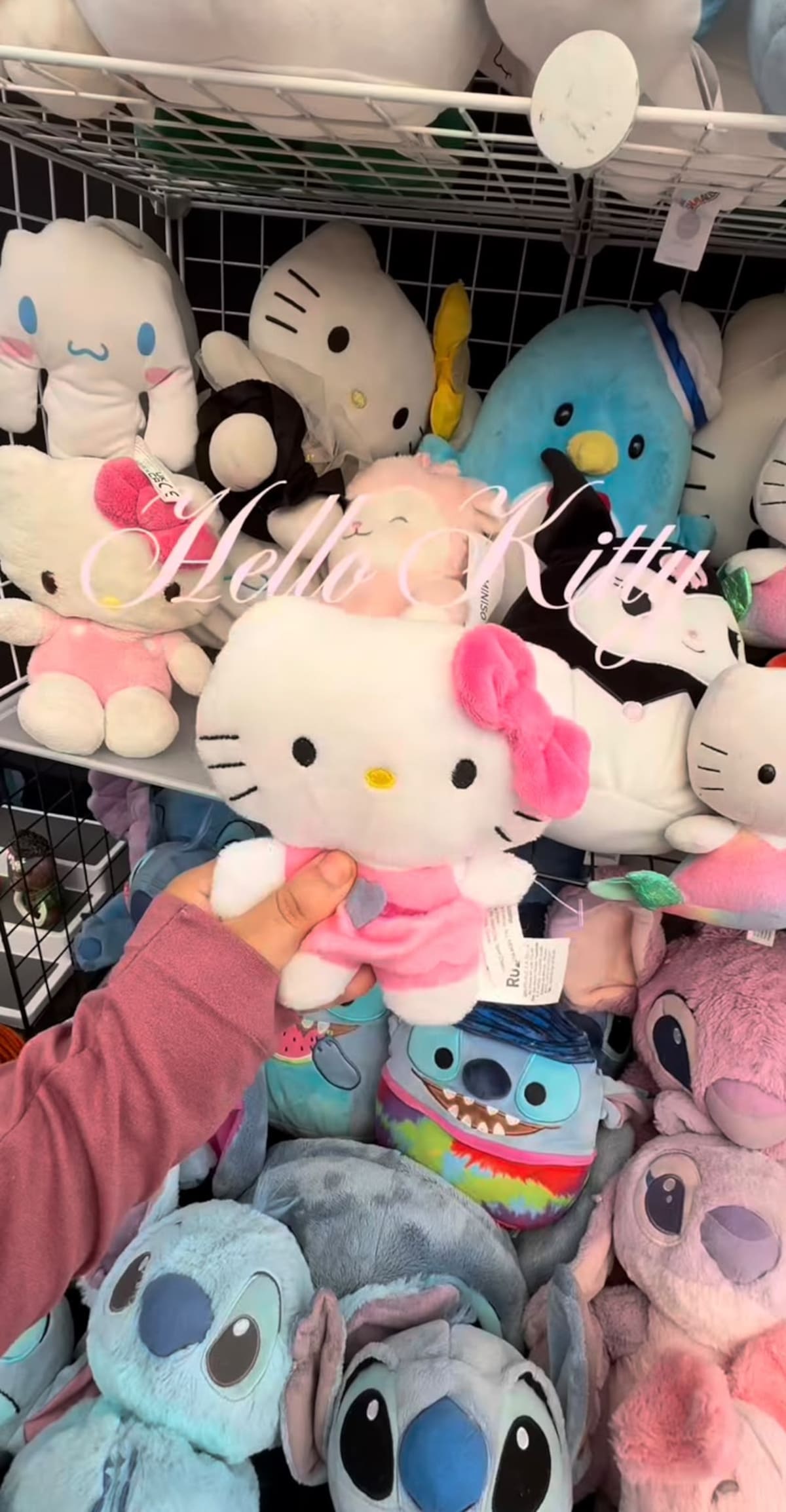 Hello Kitty; Kitty Tianguis; emprendedores; México.