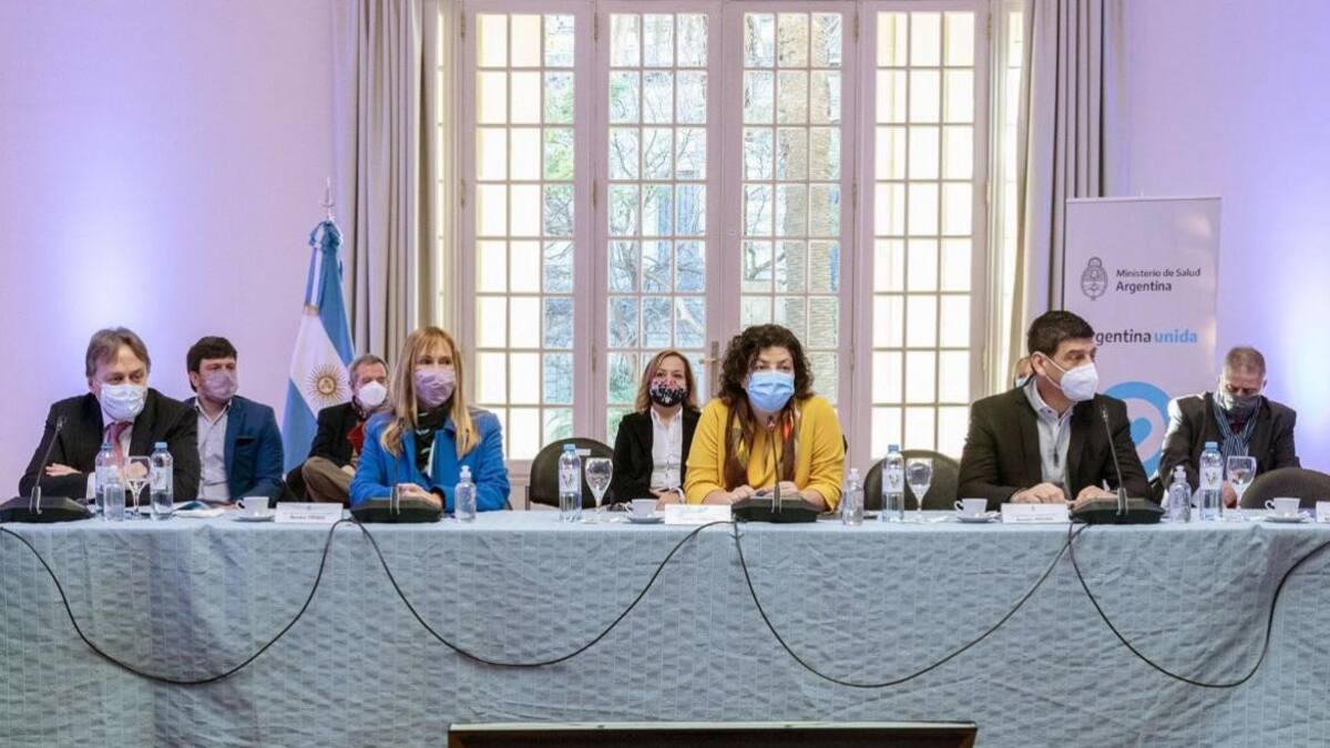 La ministra Carla Vizzotti encabezó la reunion del COFESA, NA