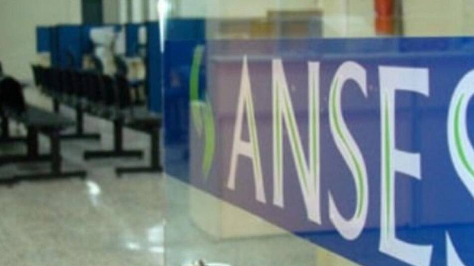 ANSES, economía argentina