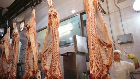 Exportación - carne vacuna