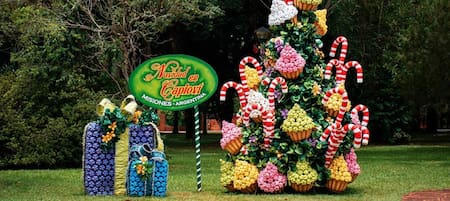 Capiovi, Misiones. Foto: https://www.capiovi.misiones.gov.ar/