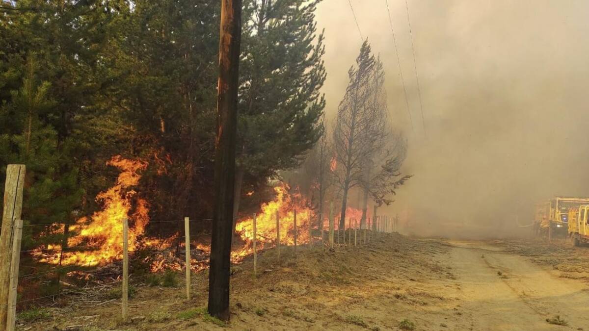 Incendio forestal en El Bolsón, NA