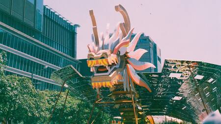 Qué animal del horóscopo chino soy. Foto Pexels.