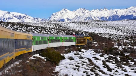 Tren Patagónico. Foto: NA