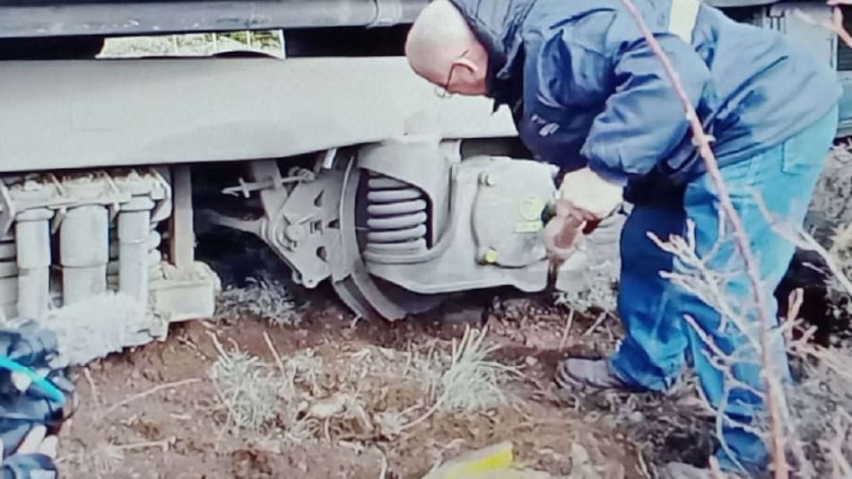 Personal de la empresa trabajó para colocar la locomotora sobre las vías. Foto: NA.