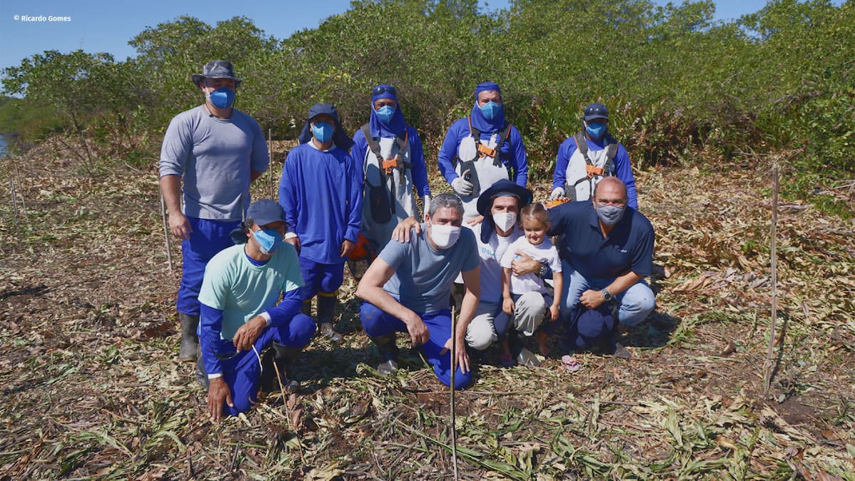 Equipo OceanPact en la reforestación de manglares. Foto: OceanPact.