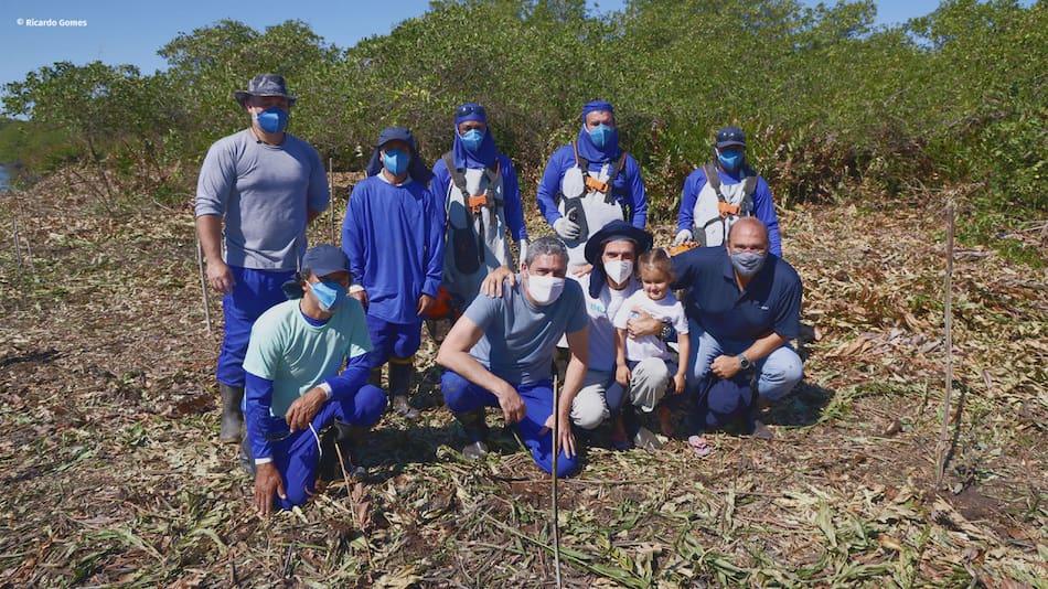 Equipo OceanPact en la reforestación de manglares. Foto: OceanPact.