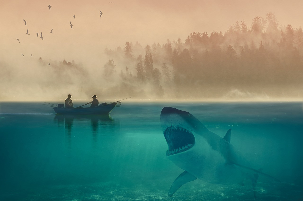 Aumentan las muertes por ataques de tiburones. Foto: Pixabay.