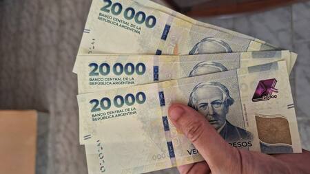 A un año de su emisión: qué se podía comprar en 2024 y para qué alcanza hoy el billete de 20.000 pesos