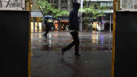 Humedad y calor - post lluvia