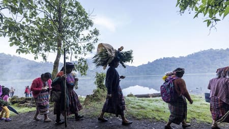 El superalimento milenario de los incas. Foto EFE.