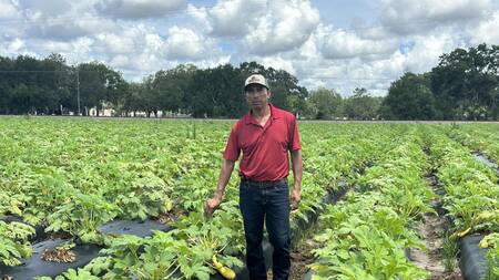 La ley de Florida podría impactar en sectores económicos donde se emplean indocumentados. Foto: Twitter.