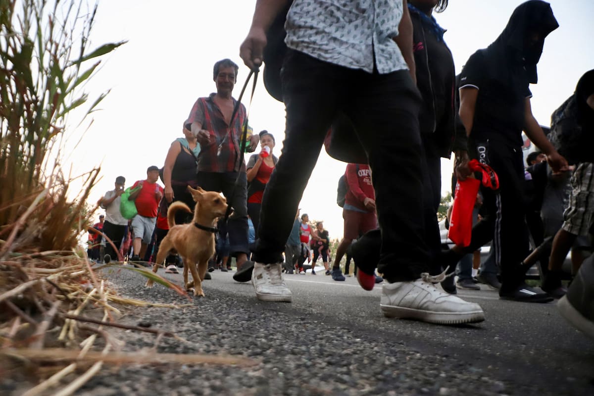 Migrantes en Texas. Foto: Reuters