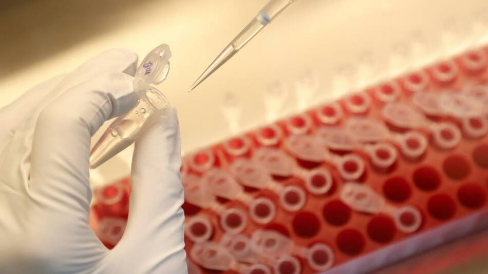 Coronavirus en el mundo, vacuna, REUTERS