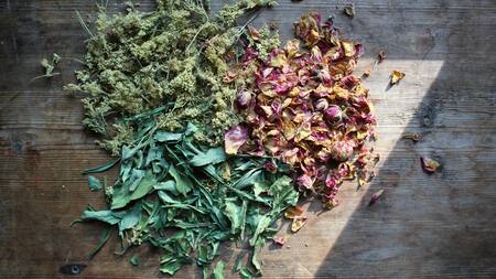 Hierbas medicinales. Foto: Unsplash