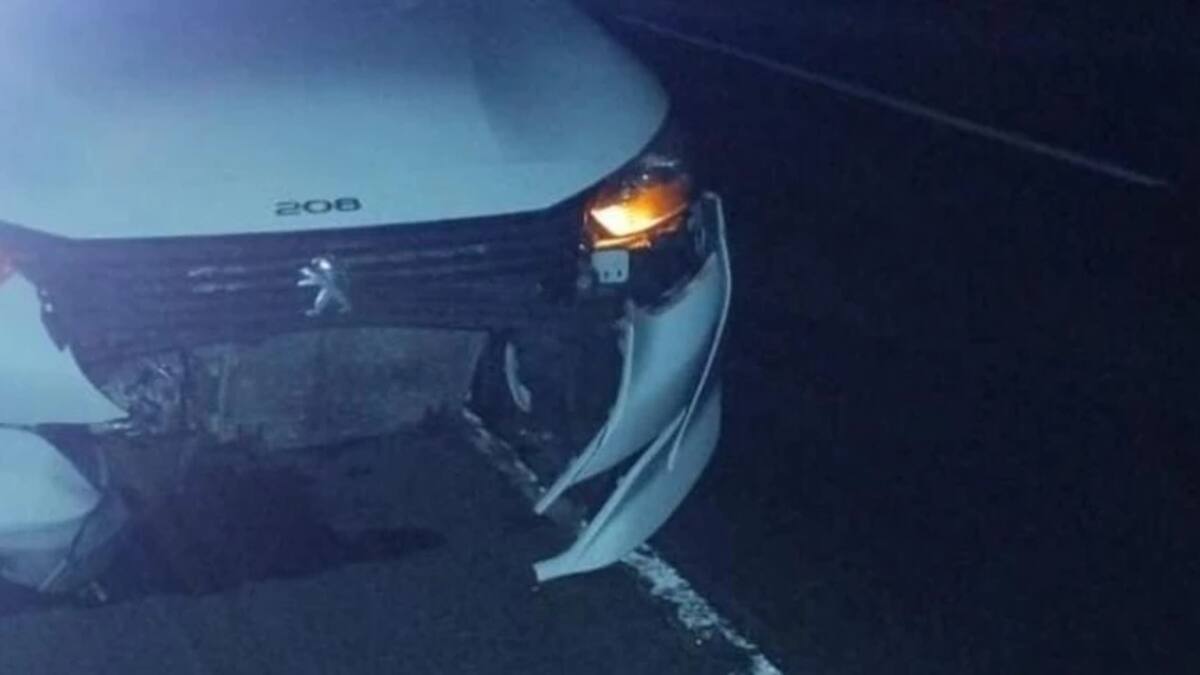 Un carpincho provocó un accidente en Vivoratá