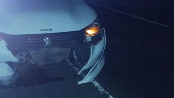 Un carpincho casi provoca una tragedia en Vivoratá: un auto chocó a alta velocidad contra el animal en plena Ruta 2