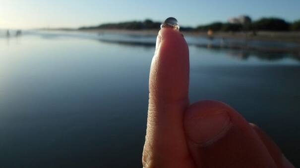 Alerta por la aparición de tapiocas en las playas de la Costa Atlántica: qué hacer si te pican