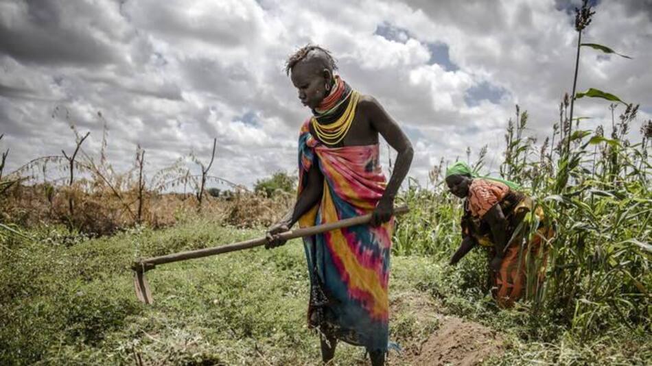Campos, agricultura. Foto: FAO.