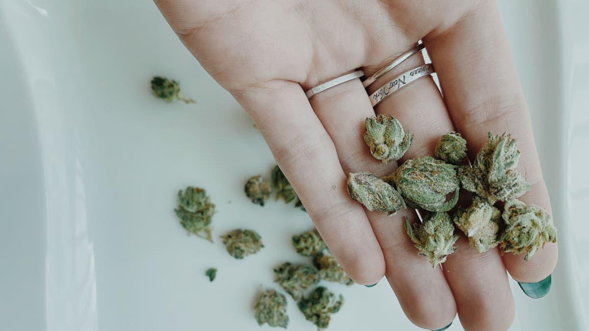 Quienes consumen cannabis tienen el doble de posibilidades de morir por enfermedades cardiovasculares. Foto: Unsplash.