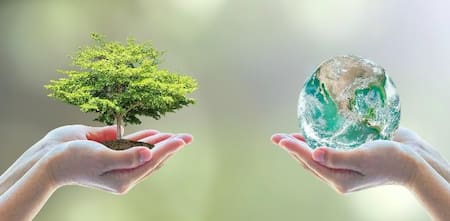 Día Mundial del Medio Ambiente - Efemérides